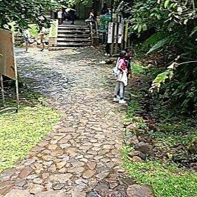 Sortie à la Soufrière